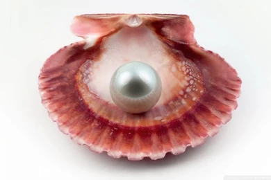 Pearl HD Desktop Wallpapers : Widescreen : High Definition ...