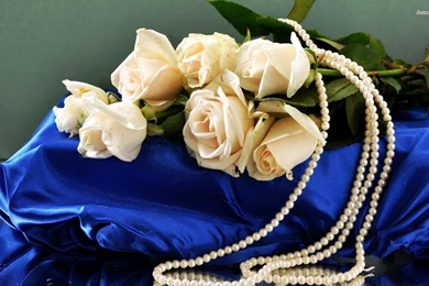 White Roses And Pearls Wallpapers   Flower Wallpapers
