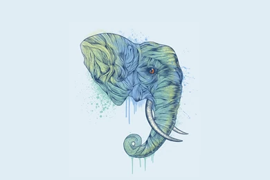 Download Wallpapers 2560x1440 Head, Trunk, Elephant, Abstract ...