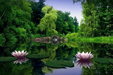 1920x1080 Amazing, Nature, Lily, Lake, Amazing Lake In Green ...