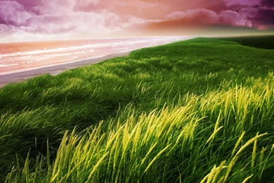 Hd Wallpapers Nature 1436007