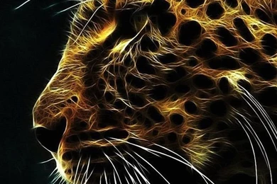 iPhone 6 Plus Wallpapers