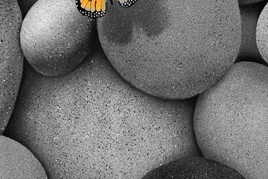 iPhone 6 Plus Wallpapers