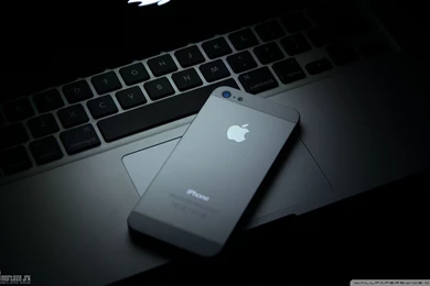 Apple Wallpapers Full HD [1920x1200]   Free Wallpapers Full Hd 1080p ...