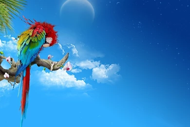 Full Hd Laptop Wallpapers HD Wallpapers And Pictures