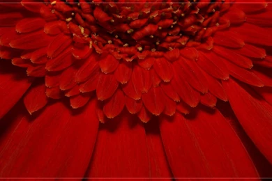 Cool Red Desktop Backgrounds HD 1920x1200