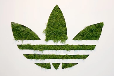 Top Cool Adidas Originals Images For Pinterest