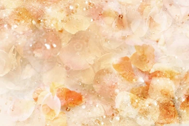 Roses Petals Brown HD Desktop Wallpapers : Widescreen : High ...