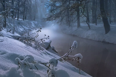 Winter Night Snowy HD Images Wallpapers 3992   HD Wallpapers Site