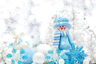 Snowman Wallpapers 6919 2560 X 1600   WallpaperLayer.com