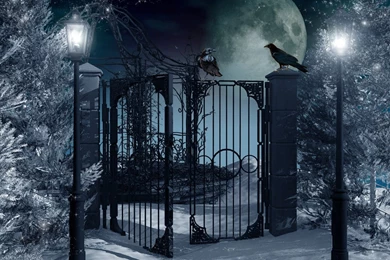 Winter Night Snowy Wallpapers Pics 3968   HD Wallpapers Site