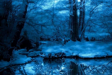 3291) Snowy Night Forest HD Wallpapers   WalOps.com