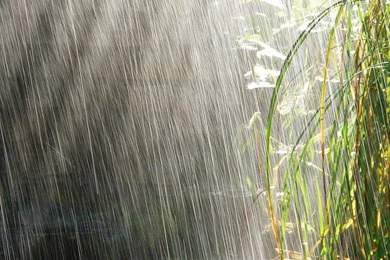 Download Wallpapers 3840x1200 Heavy Rain, Rain, Light, Bushes ...