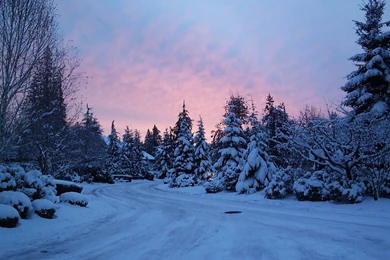 The Winter Backgrounds, Winter Wallpapers, WinterDesktop ...