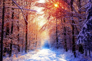 Winter Backgrounds Tumblr 2015