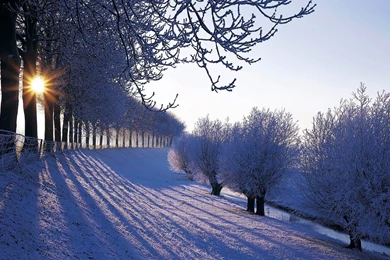 Winter Wallpapers High Quality