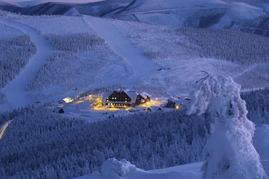 Winter Picture Wallpapers