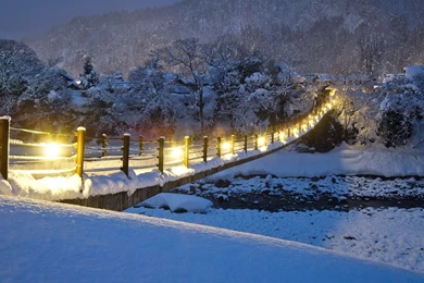 Winter Wallpapers Free Download_hd Wallpaper_download Free Wallpapers