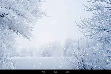 Nature Wallpapers   HDWPro   Page 4