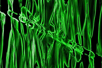 Neon Green Wallpapers   HD Wallpapers Pretty