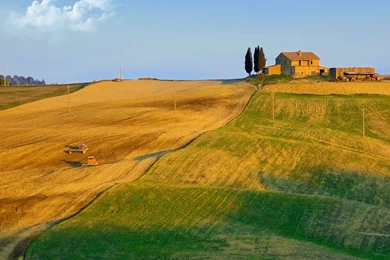 Right wing Stalker Likely Pranked Weiner, Summer In Tuscany ...