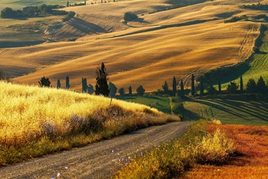 Hd 97461 Tuscany Wallpapers Landcapes   HD Wallpaper Backgrounds
