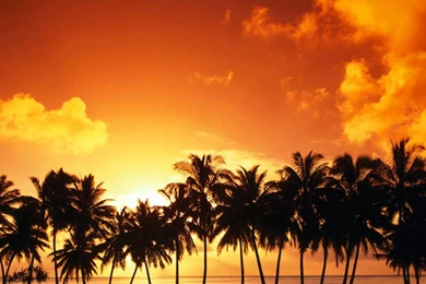 Australia Beach Sunset Hd Wallpapers For PC 1920x1080 1080p Hd ...