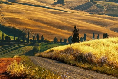 Tuscany Valley Wallpapers