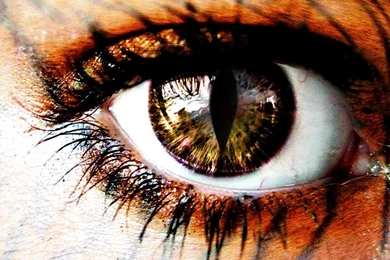 Human Tiger Eye By WhiteFireBird On DeviantArt