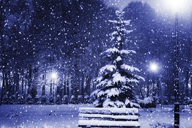 Snowy Nights Windows 8.1/10 Theme And Wallpapers