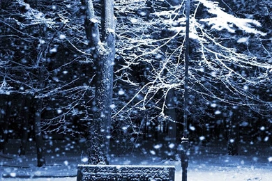 Snowy Night Iphone Wallpapers   Wallpapers Photo (36316847)   Fanpop