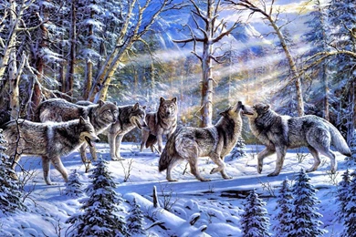A Pack Of Wolves In The Snow Wallpapers And Images Wallpapers ...