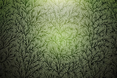 Download Wallpapers 1920x1080 Grass, Patterns, Backgrounds ...