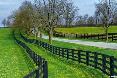 Download Full HD Nature Picture Wallpapers For Laptop