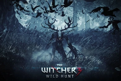 1920x1080 Witcher 3 Game Wallpapers