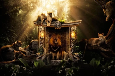 Free Wallpapers Page 5