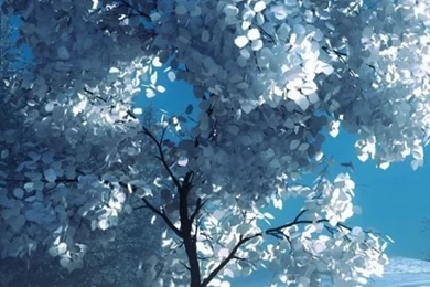 Android HTC Sensation 540x960 Winter Wallpapers HD, Desktop ...