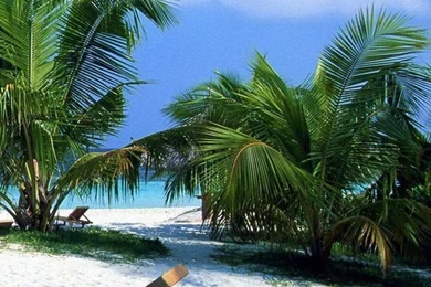 Tropical Beach Wallpapers   Beach Wallpapers