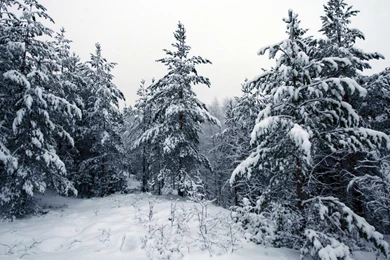 Snowy Mountain Landscape Wallpapers   Nature Wallpapers