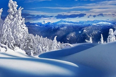 Snowy Landscape Wallpapers   (