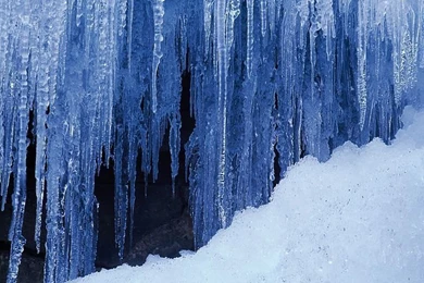 Snowy Forest Wallpapers   Snow Covered Tree Branches Wallpapers 36 ...