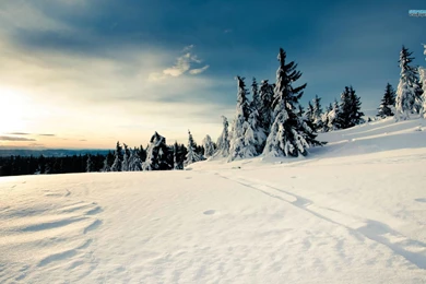 Winter Landscape Wallpapers   Nature Wallpapers