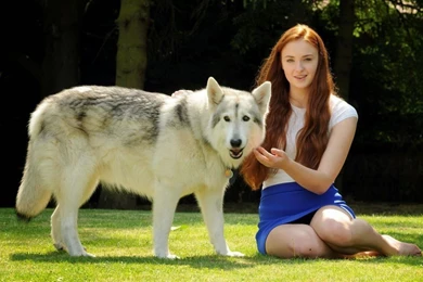 STARS WALLPAPER: Natalie Dormer Wallpapers Free Download