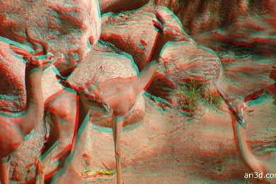 Free 3D Stereo Desktop Wallpapers