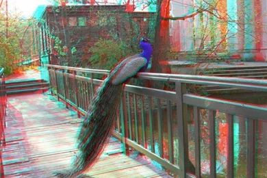 Red Cyan Anaglyph Stereo Images Favourites By DouglasHumphries On ...