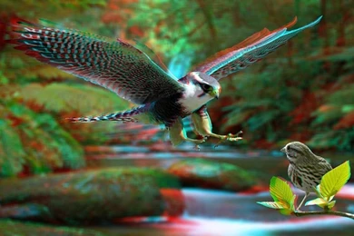 Top 3d Anaglyph Hd Images For Pinterest