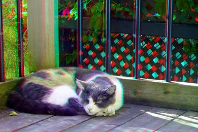 Wallpapers Anaglyph 3d Wallpapers 1024x768 Anaglyph 3d Anaglyph Hd ...