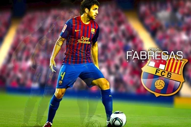 The Best Football Player Of Barcelona Francesc Fabregas Wallpapers ...