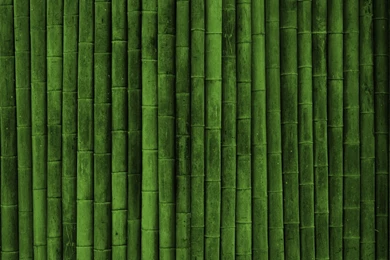 Bamboo Wallpapers   Manualwall.com