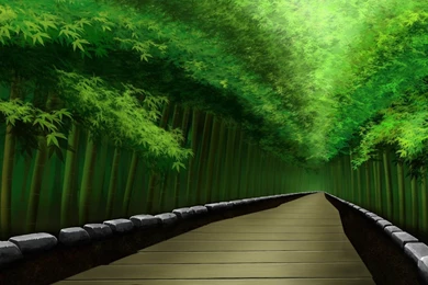 Wallpapers: Bamboo Forest Wallpapers